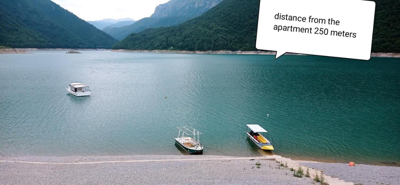Apartment Holiday Lake - Piva 2022 Plužine Extérieur photo